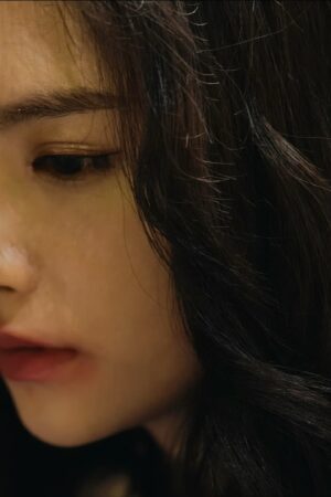 Câu Chuyện Cảnh Sát Đông Bắc 2