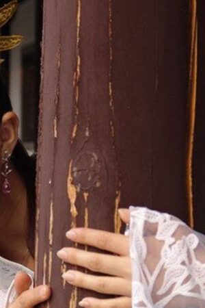 Chuyện Nàng Tinh Vệ Lấp Biển