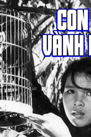 Con Chim Vành Khuyên