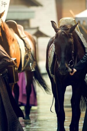 Khánh Dư Niên (Phần 1)