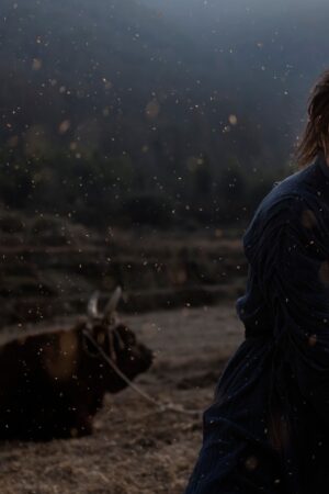 Lệnh Truy Nã Giang Hồ