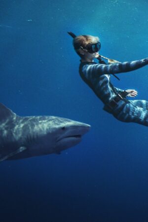 Người Bạn Của Cá Mập