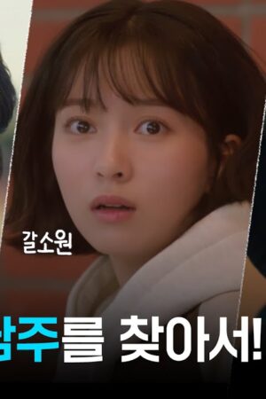 Truy Tìm Nam Chính